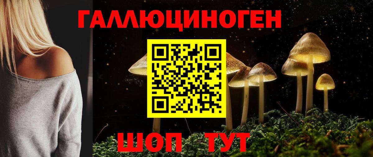 Галлюциногенные грибы MAGIC MUSHROOMS  Вход с VPN  Торжок  Галлюциногенные грибы прущие грибы 